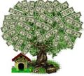 money_tree5