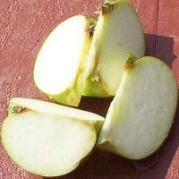 Frælaus epli..Seedless apples ugl02