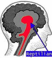 brainreptoid